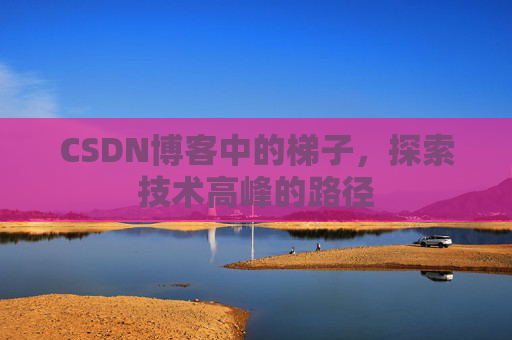 CSDN博客中的梯子，探索技术高峰的路径